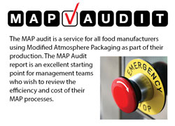 MAP Audit 250x180